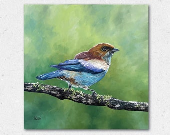 Original oil painting of a colorful bird on a branch