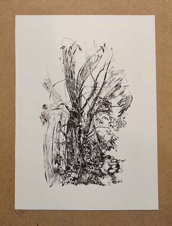 Original Pencil Sketch Tree Ink Drawing Forest. Original nature Sketch, Small Presents. Landscape Draw Pictures Pen and Pencil Ink Drawing.