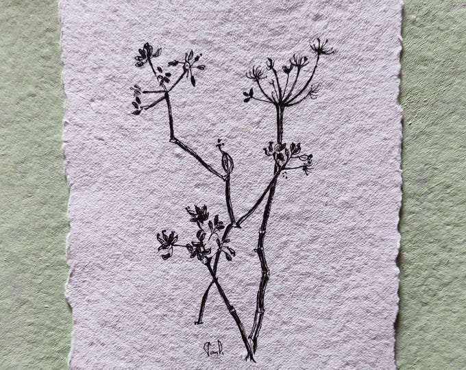 Botanical Wall Art Wildflowers: Minimalist Drawing Grasses, Original Ink Sketch 5x7 inches