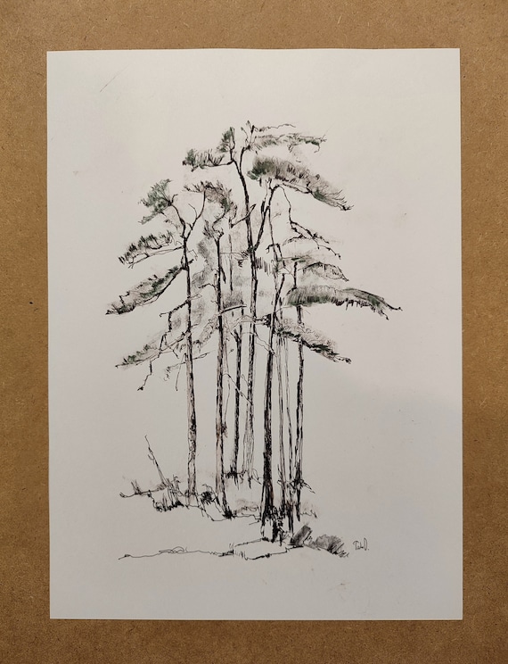 Christmas Tree Charcoal Sketch, Original Ink Line Drawing, Rustic Winter Wall Art