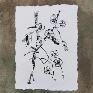 Può includere: Un disegno a inchiostro nero su carta bianca ruvida con bordi irregolari, che raffigura un ramo fiorito con boccioli e fiori. L'illustrazione presenta linee sottili e dettagli tratteggiati, con le iniziali TD dell'artista visibili in basso.