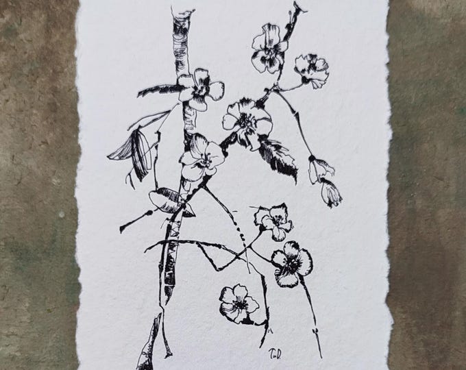 Original Artwork Ink Drawing Hand Drawn Illustration Botanical Tiny Floral Line Sketch  5x7 inches