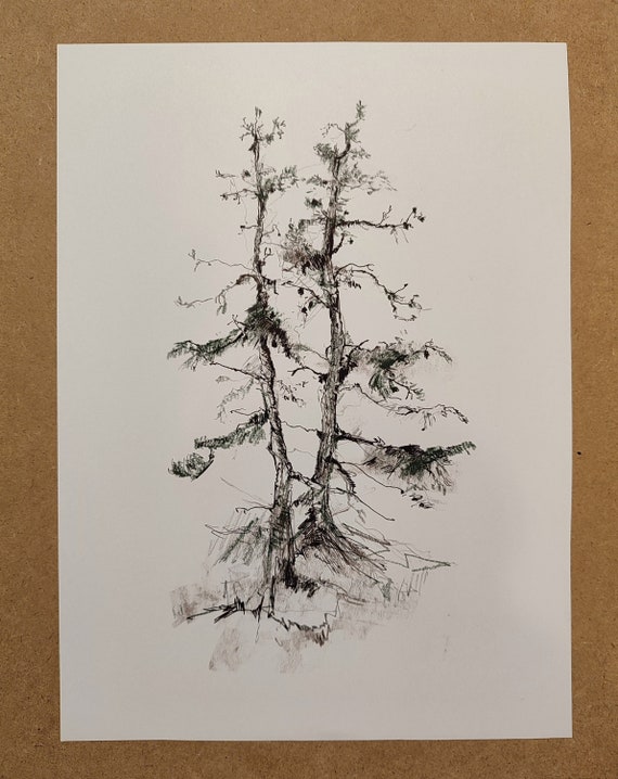 Ink Drawing, Charcoal Pencil. Evergreen Trees Original Realistic Drawing. Pine Tree Drawing, Academic Drawing Pen and Ink, Forest Landscape.