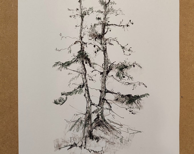 DDP to US, Evergreen Tree Ink Drawing: Realistic Forest Landscape (22x30cm)