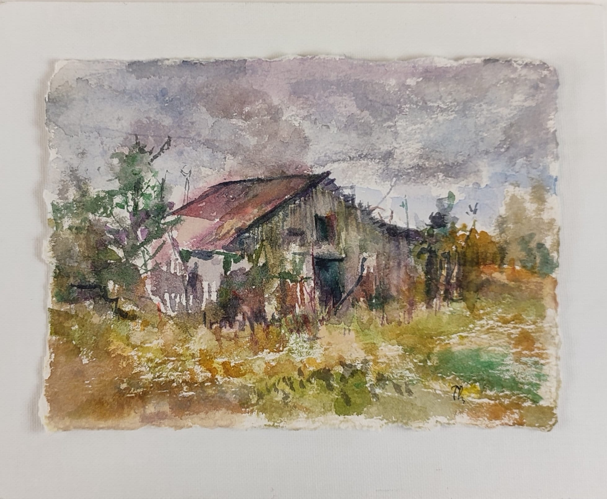 gallery photo