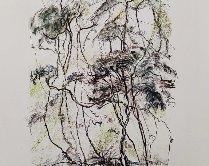 Original Drawing Tree Forest Landscape Draw Charcoal Pencil Sketch Pastel Pencil Ink