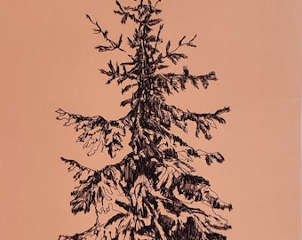 Pine Tree Art, Original Drawing Pen and Ink Artwork, Forest Tree Sketch