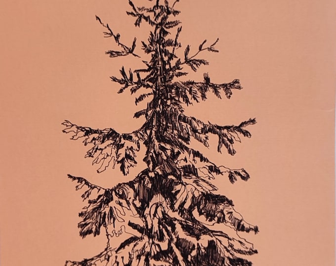 Pine Tree Art, Original Drawing Pen and Ink Artwork, Forest Tree Sketch