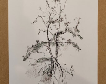 Winter Tree Charcoal Drawing: Modern Ink Sketch, Small Wall Art