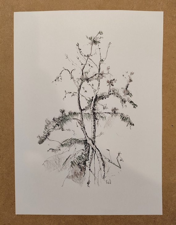 Original Drawing, Charcoal Pencil Sketch, Winter Scene Art. Ink Drawing Tree. Modern Line Drawing, Small Presents,Gifts For Your Best Friend
