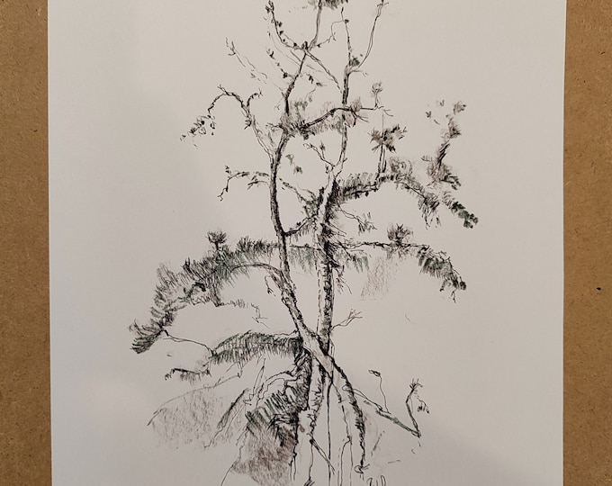 Winter Tree Charcoal Drawing: Modern Ink Sketch, Small Wall Art