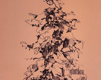 Pine Tree Art, Pen and Ink Artwork, Christmas Trees Drawing, ORIGINAL Ink Sketch.