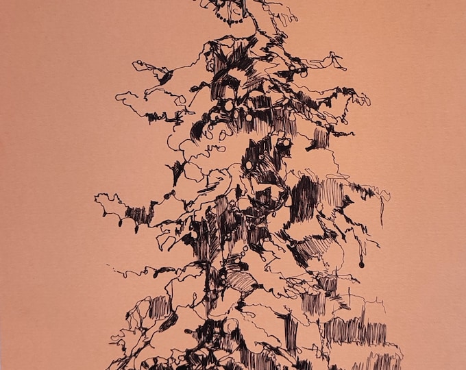 Pine Tree Art, Pen and Ink Artwork, Christmas Trees Drawing, ORIGINAL Ink Sketch.