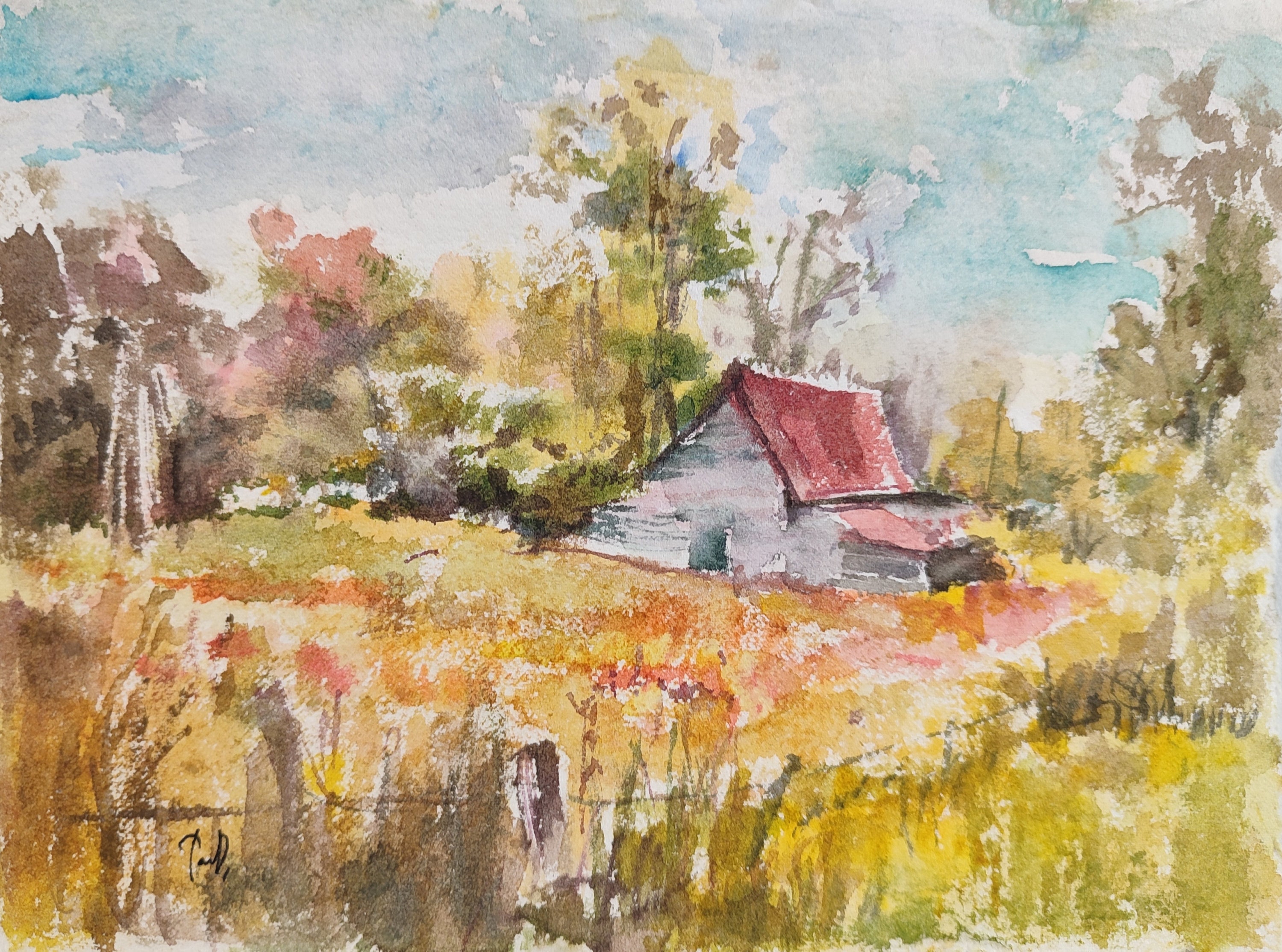 gallery photo