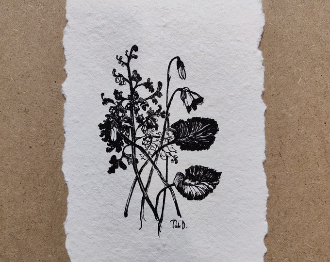 Original Ink Drawing: Wildflower Bouquet, Lily of Valley Floral Sketch (4x6 inches)