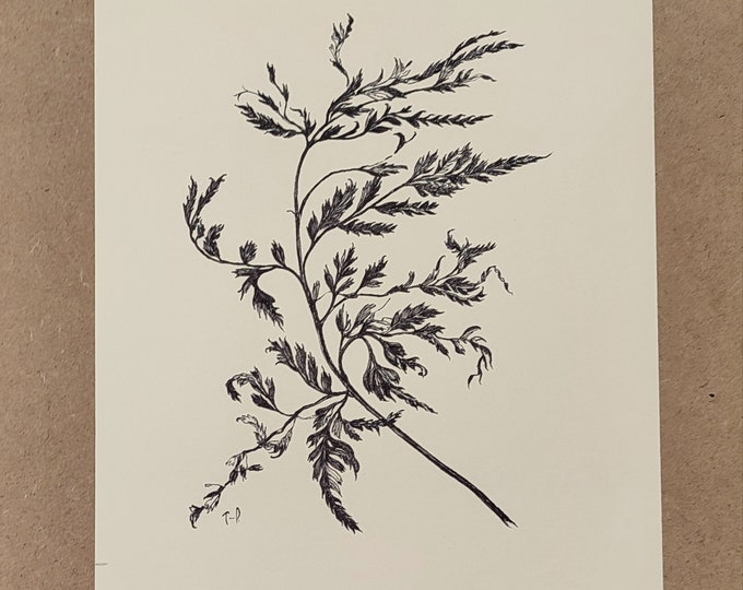 Botanical Line Art, Forest Herb Black Ink Drawing, Antique Look Flower Wallart
