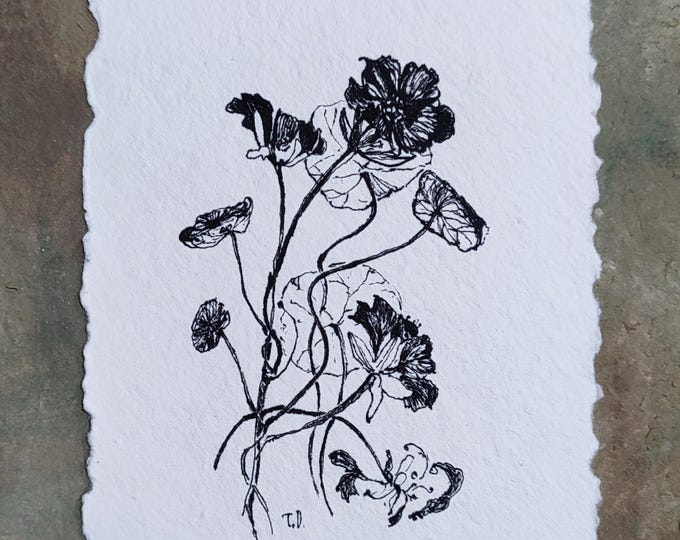 One Line Drawing Ink Botanical Wall Art - Tiny Floral Line Sketch Nasturtium Flower