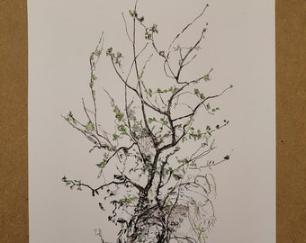 Original Pencil Sketch, One Line Drawing, Ink Drawing Tree. Small Presents, Spring Landscape Draw Pictures Pencil Ink Drawing Forest.