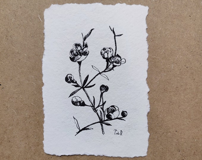 Floral Line Art Original Drawing Botanical Ink Sketch Simple Flower