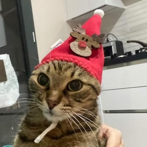 New year cat clothing, Christmas hat for cats and dogs, Christmas costume for cats, Hat for pets, Cat accessories,  Xmas pet costume