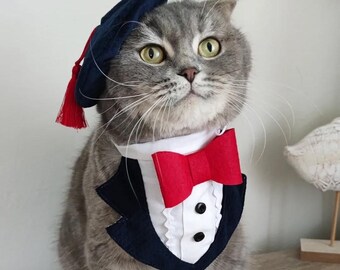 Cat Tuxedo and Beret Set: Velvet Cat Suit with Bowtie