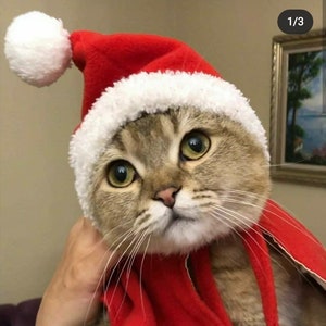 Santa costume for cats, Christmas santa cloak, New Year Cat Clothing, Xmas pet costume, Cat Christmas Hoodie, Santa cape for cats,