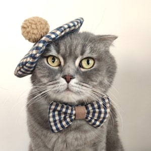 Costume for cat, Beret hat and bowtie set, Cat outfit, Cat bow tie, Cat accessories, Hat for cat, Bonnet for pets, Pet accessory