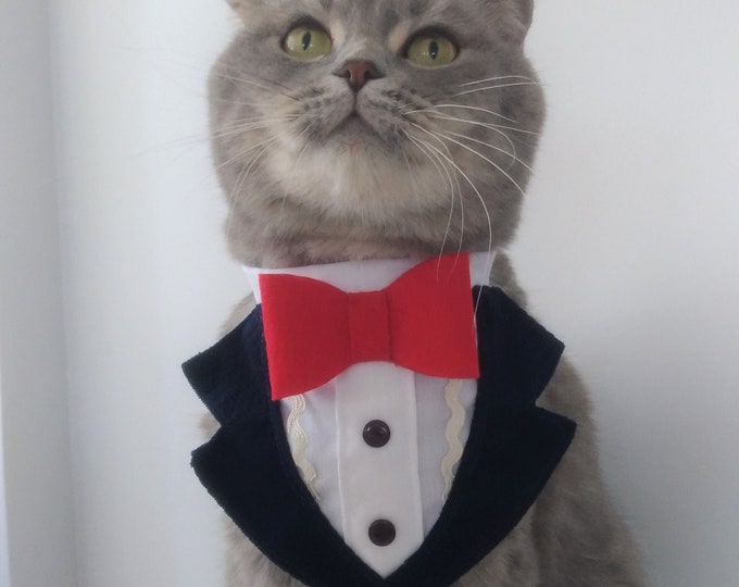 Elegant Style Cat Tuxedo, Costume for Cats, Cat Collar, Cat Bow Tie