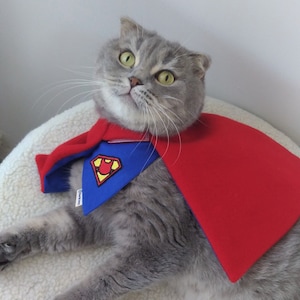 Cat superhero costume deals