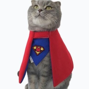 Super hero costume for cats, supercat cape, cat costume,  cat cloak and bandana, gift for cats, cat accessories