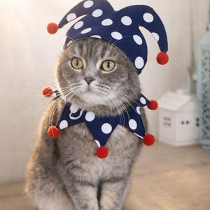 Double Sided Clown Costume for Cats and Small Dogs