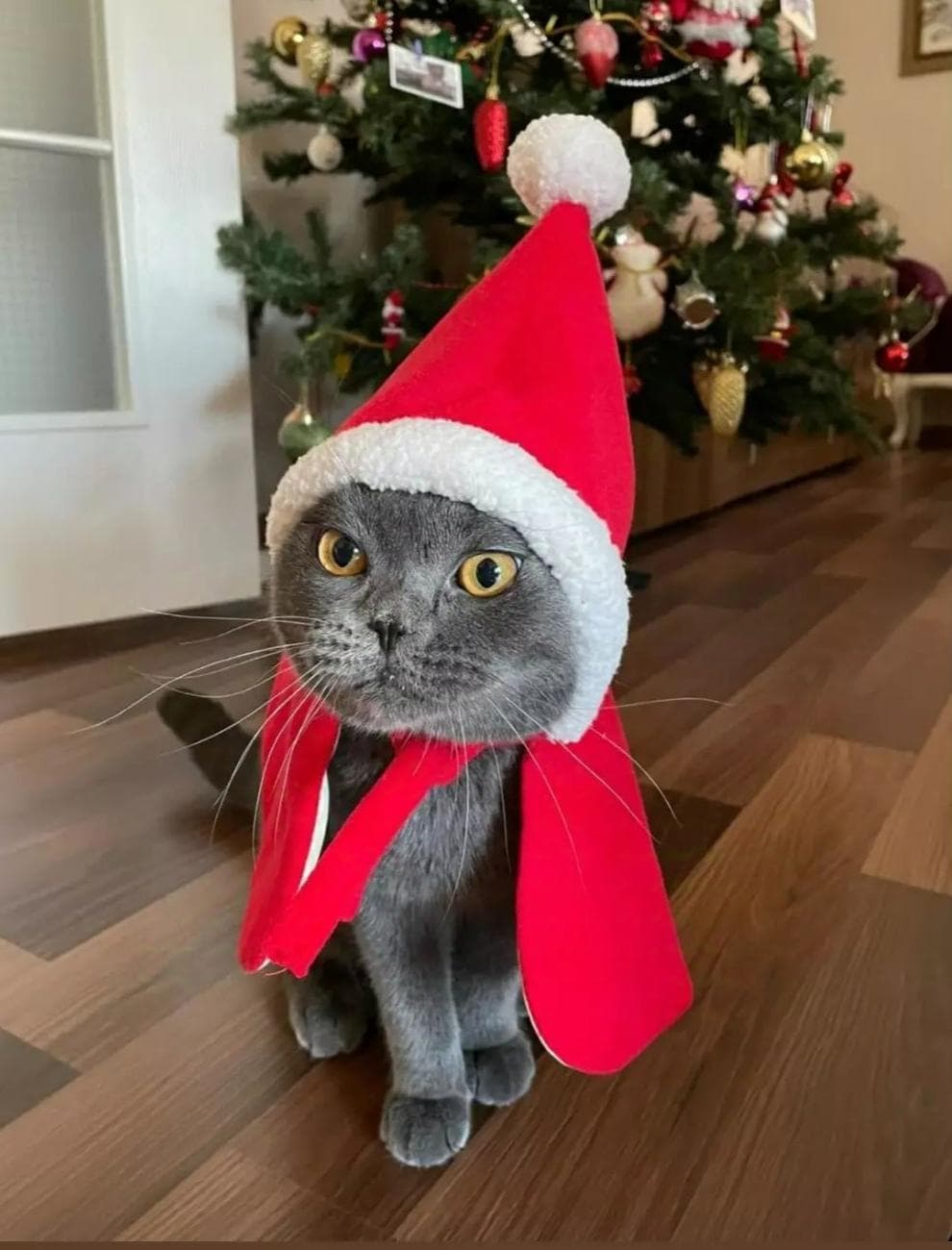 white christmas dresses Pet cloak Christmas decoration Pet Christmas costume Cat's clothes