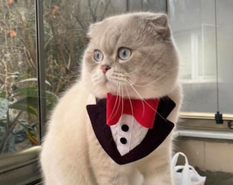 Elegant Cat Tuxedo Collar: Black Velvet, Red Bow Tie