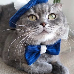 Costume for cats and dogs, Beret hat and bow tie set for pets, Blue cat bowtie, pet clothing, Hat for pets