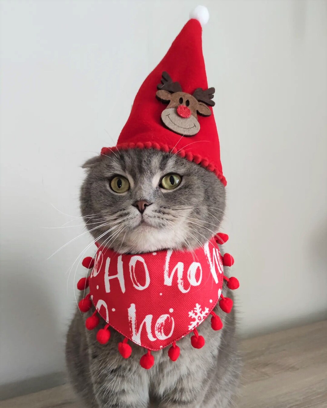 Christmas Cat Costume Set: Bandana and Hat With Reindeer