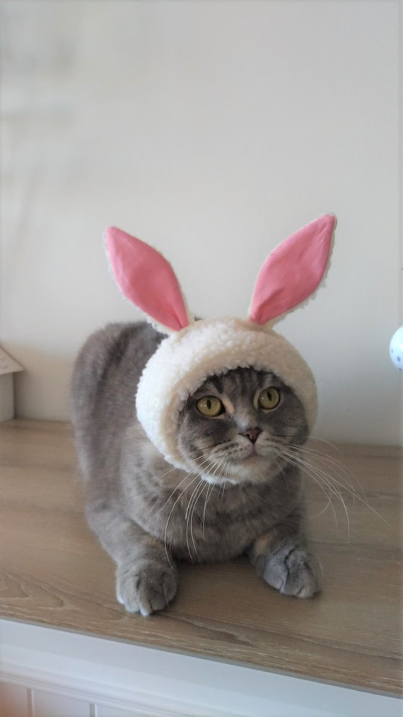 Chapeau de chat lapin, Pâques Mignon Costume Lapin Lapin Chapeau Avec  Oreilles Pour Chats