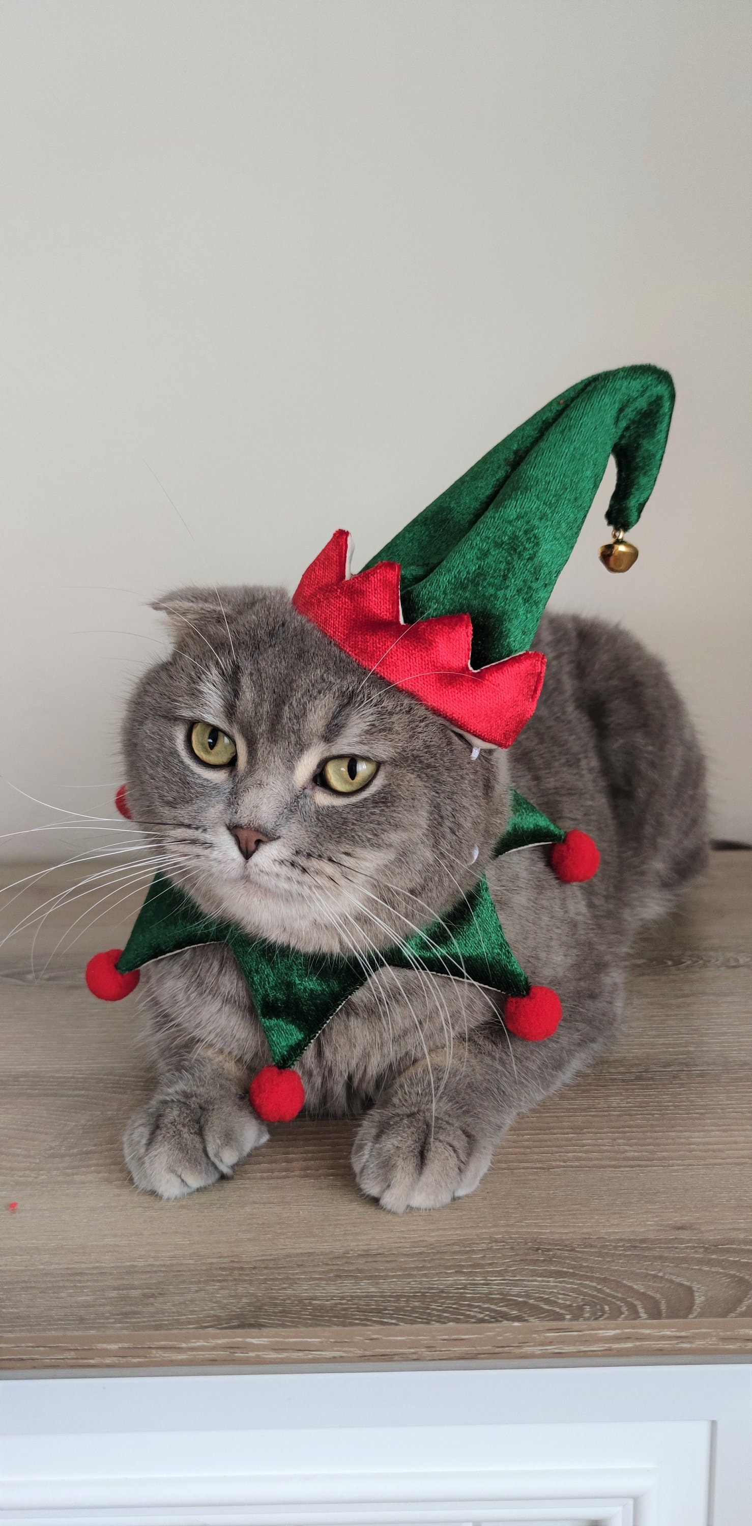 2 Piece New Year Cat Clothing Christmas Costume for Pets Elf Costume for Cats and Dogs Pet Accessories Xmas Pet Costume Dog Clothing Etsy