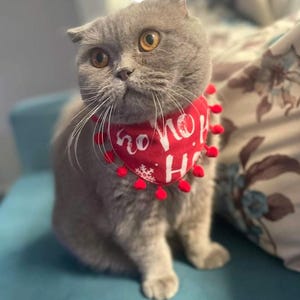 Christmas bandana for cats and dogs, New year cat clothing, Costume for cats, Cat bandana collar, Cat scarf,  Pet neckwear, Gift for cats