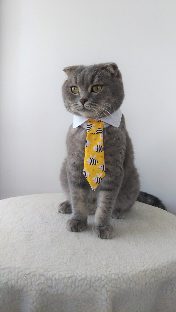 Bee Necktie for Cats Cat Bow Tie Cat Collar Costume for Cat White Shirt Cat Collar Cat Accessories Cat Tuxedo Gift for Cat Etsy
