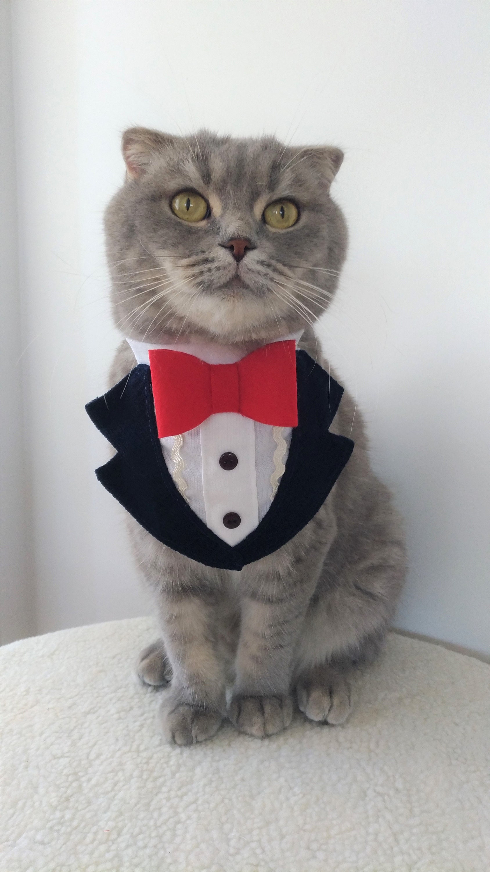Elegant Style Cat Tuxedo Costume for Cats Cat Collar Cat Bow Tie Cat Collar Tie Pet Neckwear Gift for Pets Pet Clothing Etsy