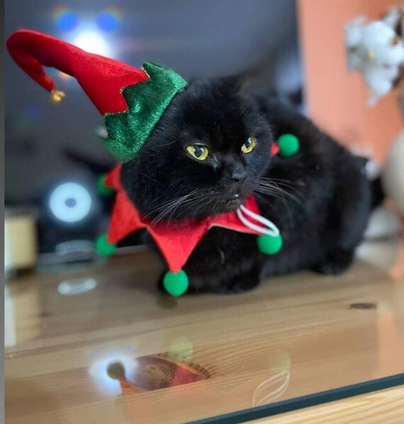 black cat christmas dress Elf Costume: Handmade Hat and Scarf Set black cat costume girl