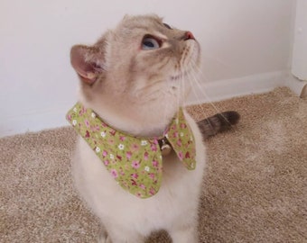 female cat accessories