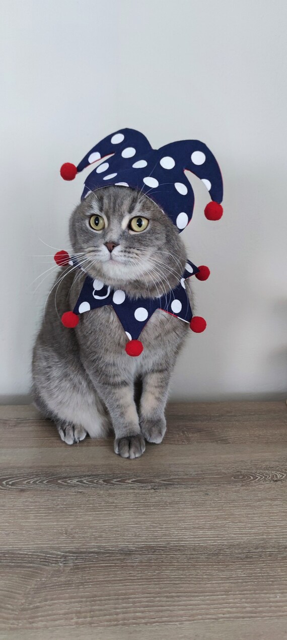 Double Sided Clown Costume for Cats and Dogs Costume for Pets Cat Clothing Pet Accessories Pet Costume Dog Clothing Gift for Cats Etsy UK