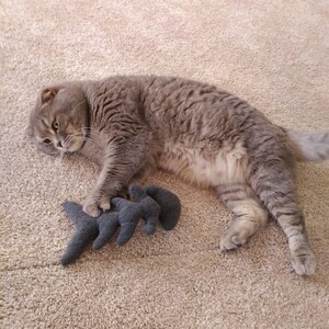 Toy for cats,  Catnip toy, Cat kicker toys, Kitten toy, Pet toys, Soft cat toys, Cat toy set, Fishbone toy with organic catnip