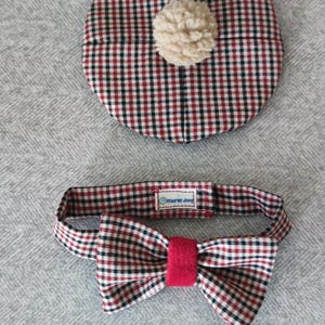 Cat clothing, Costume for cat, Cat outfit, Beret hat and bowtie set, Cat accessories, Cat bow tie, Hat for cat, Bonnet for pets