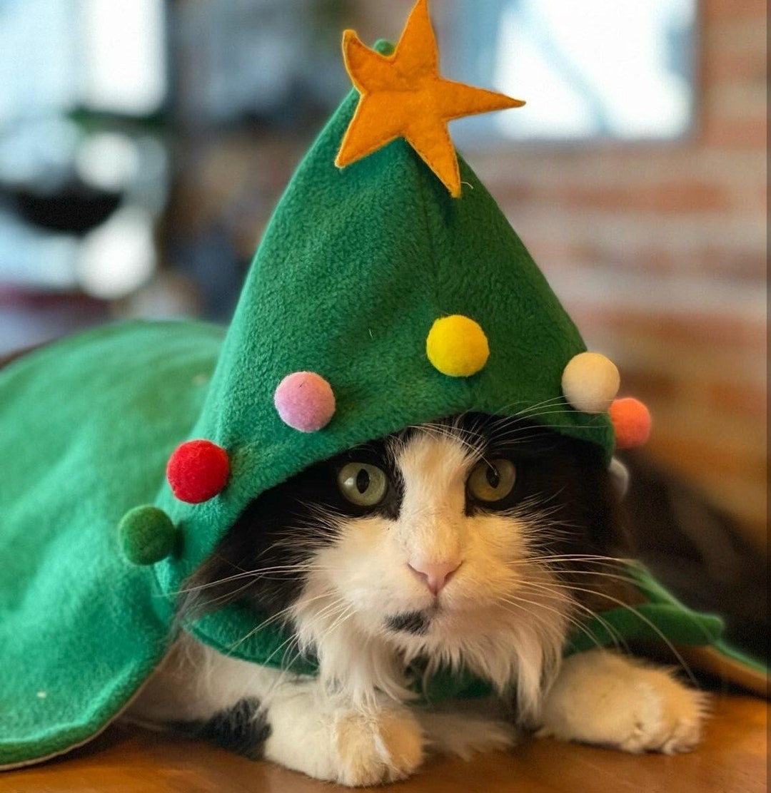 Costumes For Cats Christmas 