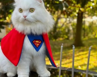 Superkatzen Kostüm: Katzen-Superhelden Umhang und Bandana