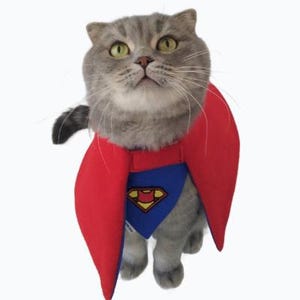Supercat costume for cats, super hero cape, cat costume,  super cat cloak and bandana, gift for cats, cat accessories