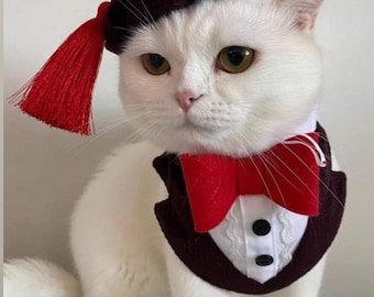 Cat Tuxedo and Beret Set: Velvet Cat Suit with Bowtie