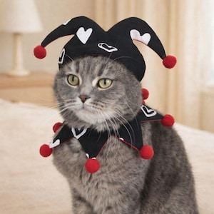 Cat Clown Costume: Double-Sided Collar & Hat - Pet Accessories